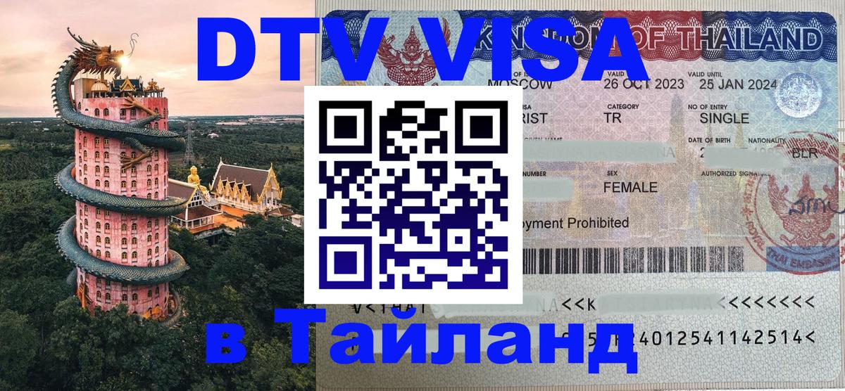 Оформление DTV визы под ключ: стоимость и тарифы, только загранпаспорт - Чита  19.11.2025 